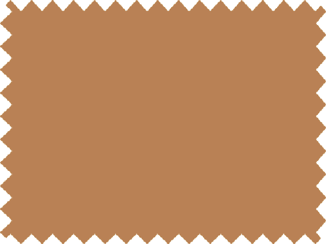 Ballroom Crystal Organza.(JP) - American Tan