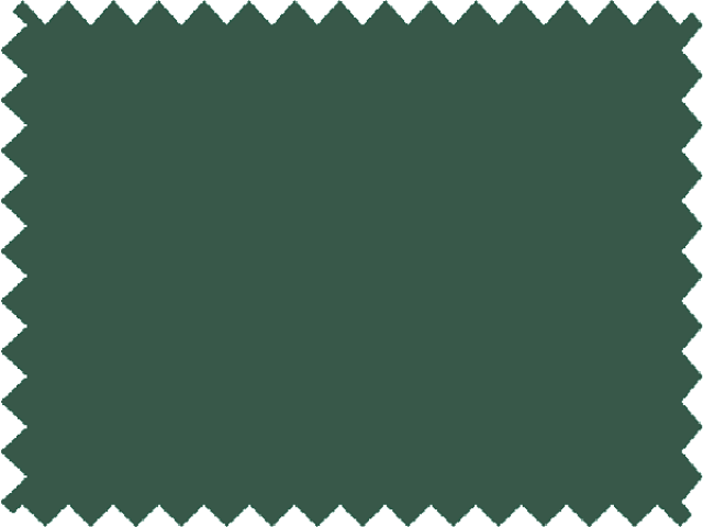 Stretch Net 1 - Forest Green