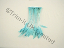 20cm Stripped Coque Feather Fringe 10cm piece - Pale Turquoise