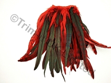 35cm Full Feather Mixed Coque Fringe10cm piece - Flamenco Red
