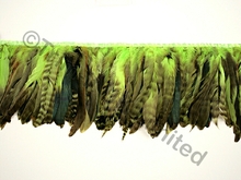 20cm Full Feather Mixed Coque Fringe - Tropic Lime