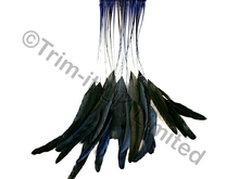 35cm Stripped Feather Mixed Coque 10cm pc - Ocean Blue