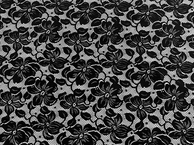 Florentina Stretch Lace - Black