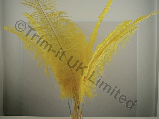 Ostrich Plumes-Spadones Pack of 10 - Sassy Yellow