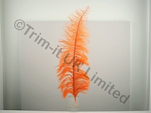 Ostrich Plumes-spadones - Flo. Orange