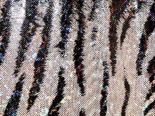 Siberian Tiger Hologram Lycra - Black/White