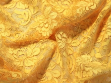 Tiana Stretch Lace - Saffron